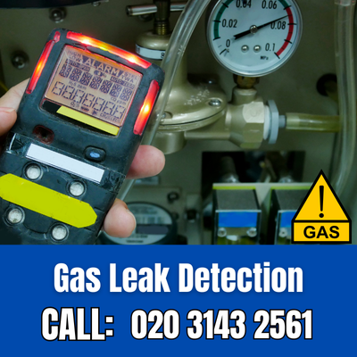 Expert Gas Leak Detection Services in Golders Green | Golders Green Leak Detection