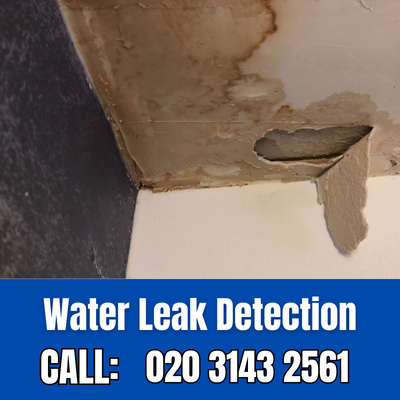 Expert Water Leak Detection Services in Golders Green | Golders Green Leak Detection